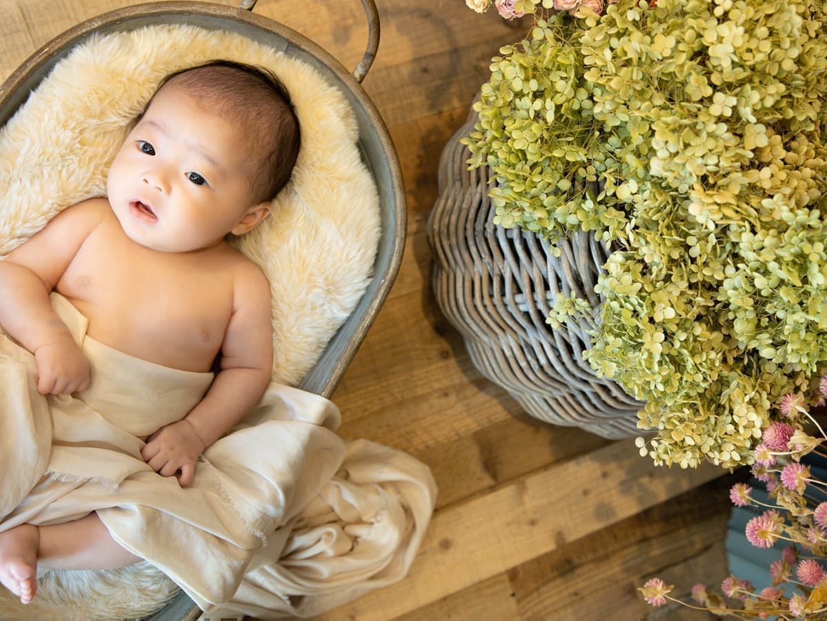 お宮参り画像23